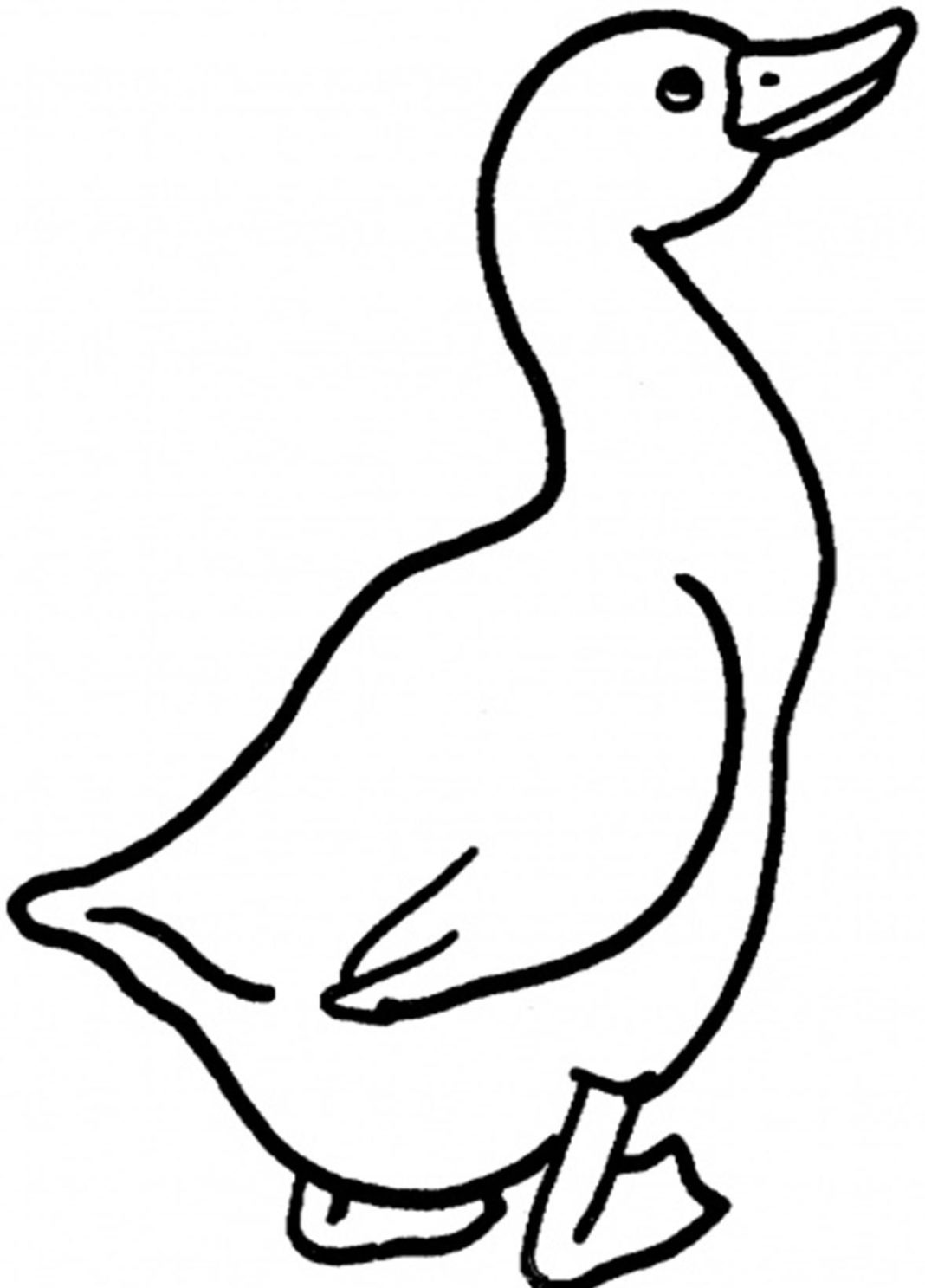 Gęś kolorowanki